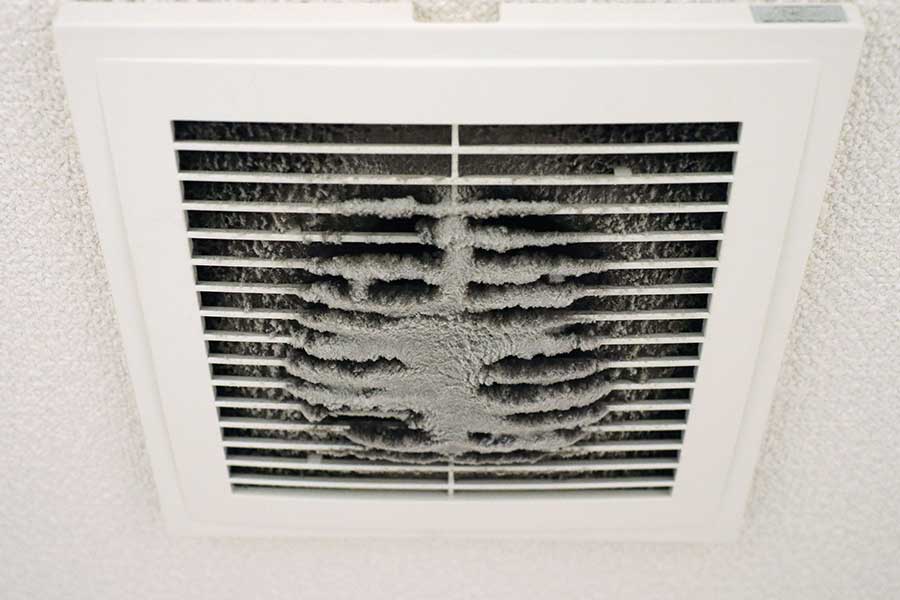 Trusted IAQ Services in Monroe